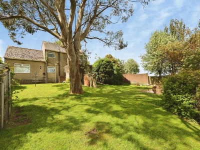 Picture 16